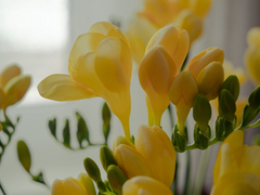 잔향殘響 02. (Clean ver.)