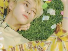 넌씨눈은 고도의 계략공과 맞먹는다 6+