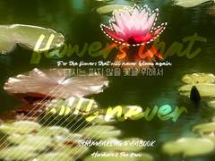 호로렌/다시는 피지않을 꽃을 위해서