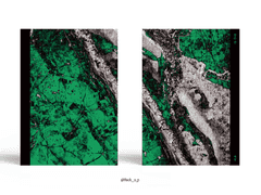 Sold out. 검은 선