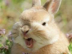 다른 사람을 보청기로 쓴다는게 너무