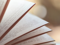 Until The Snow Falls