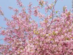 [은성수현진현] 화양연화(花樣年華) 외전