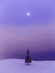 미상 글 커미션 SAMPLE