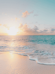 푸른 레드카펫 위에서