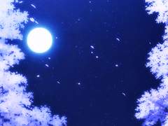 사과하고싶어서.