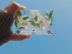 ✨ 빛나는 천재적인 쾌활함!