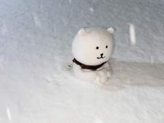 20230406추가)) 안녕하세요