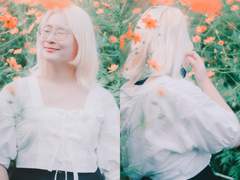 스냅 촬영 :: 가을, 황화 코스모스