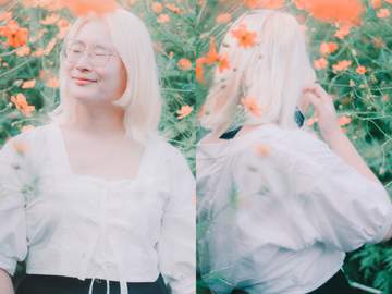 스냅 촬영 :: 가을, 황화 코스모스