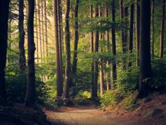 [망기무선] 납화살-7