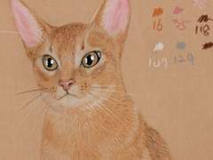 색연필그림입니다