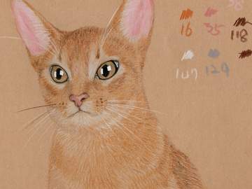 색연필그림입니다