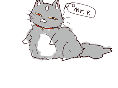 앵크 지비 포이보스 4학년