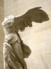 [나루토X주술회전] 불시착