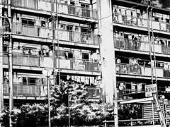 好きにしてください