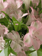 커미션 신청한 것들 정리