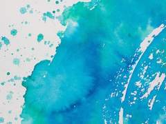 [원피스] 죽음맞이 새