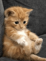 시티학원 홍일점 talk!