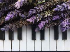 [TS] 닿을 수 없는 사람