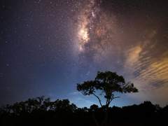 새벽에 태어난 승리