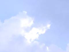 무사히 탈출한 생쥐 if