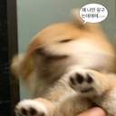 야경이 잘 보이는 용궁