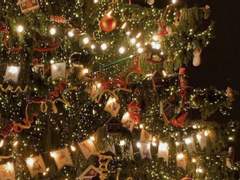 [조로산] All I want for christmas is