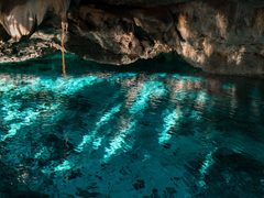 무신론자 공주는 석류 반 개의 꿈을 꾸는가 4