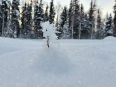 [츄란] Alaska -1 (1~13)