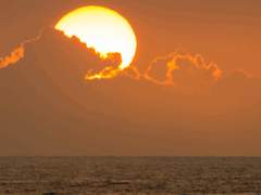 선우 하민 | 26살 | XY