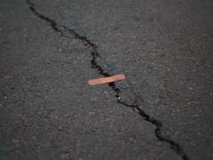 [짐진] Scar - (上)