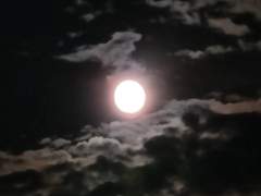 증오와 사랑, 처음과 끝 (Prologue)