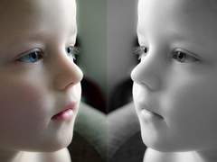 세러신 그리고 라일리