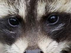 잼민이 참교육썰