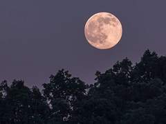 그 밤, 다리 아래 반야