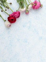 [요한조슈] 썰 백업