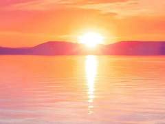 Melina R. Cartel Xx Gryffindor PB