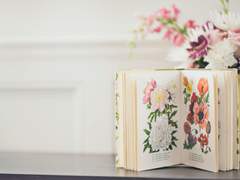 [예약] 동페 흡툭죽 동인지 예약 페이지 ~ 1월 15일