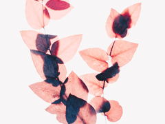 문제적 가이드 10(完)