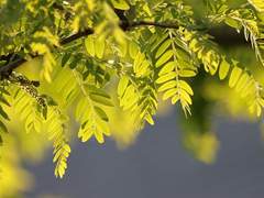 [드림] 끝을 아는 자 -1-