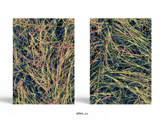 Sold out. 연과 굴레