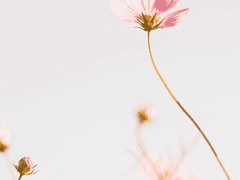 수상한 스폰서 3