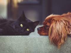 INTJ가 ENFP를 좋아하는 이유