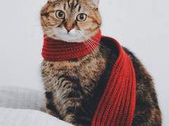 인티제 남친 속마음 해석본