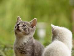 인티제가 플러팅을 선호하지 않는 이유