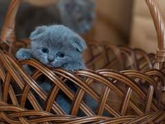 INTJ와 미니멀리즘