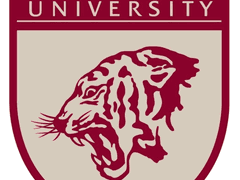 고려대학교(Korea University)