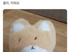 정체성 없는 TALK ++