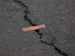 [짐진] Scar - (完)